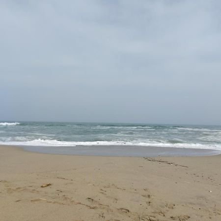 Saint Cyprien - Appart - Piscine-Mer Εξωτερικό φωτογραφία
